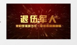 军人视频爆料网站下载,下载背后的真相与争议