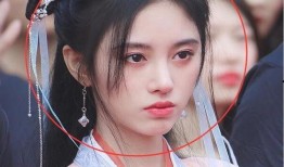 白鹿明星爆料视频,揭秘幕后的真实故事